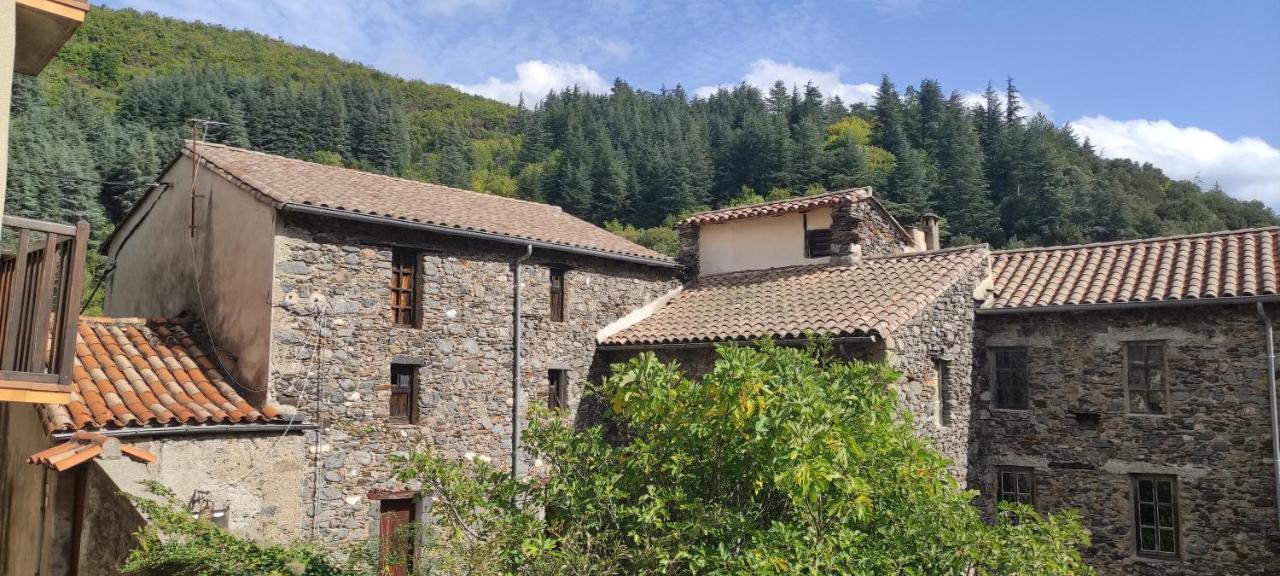 Gîte d'Aigoual Valleraugue Exterior foto